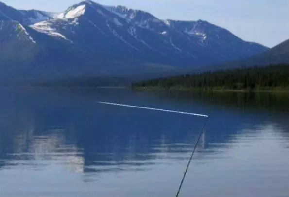 Reel Fishing Angler's Dream