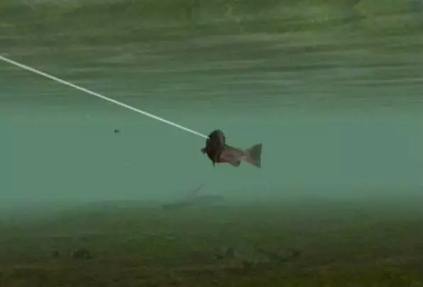 Reel Fishing: Angler's Dream