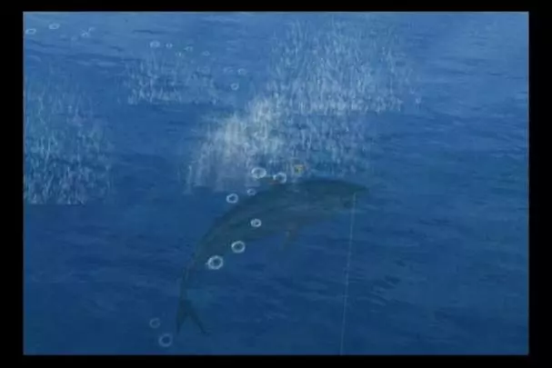 Reel Fishing Angler's Dream - Wii