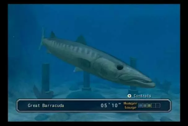 Reel Fishing Angler's Dream