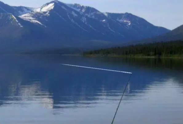 Reel Fishing Angler's Dream