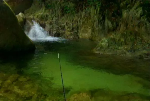 Reel Fishing: Angler's Dream