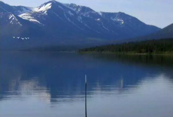 Reel Fishing Angler's Dream