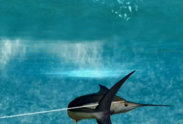 Reel Fishing Angler's Dream - Wii