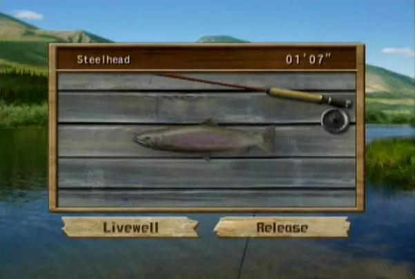 Reel Fishing Angler's Dream