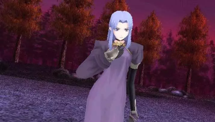 Fate: Unlimited Codes Portable