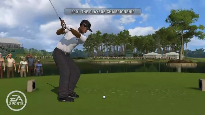 Tiger Woods PGA TOUR 10