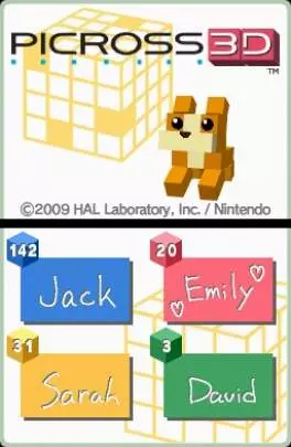 Picross 3D - DS