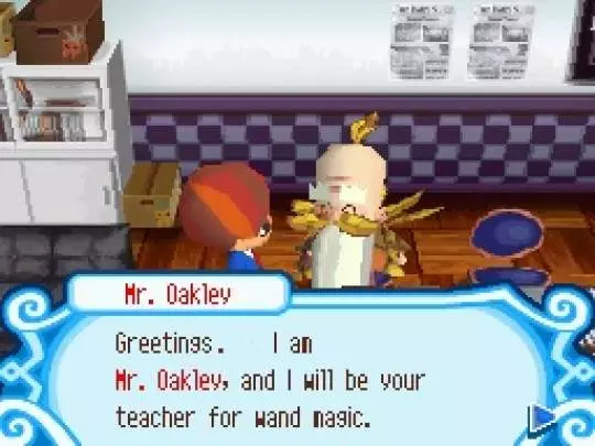 Enchated Folk School of Wizardry - DS