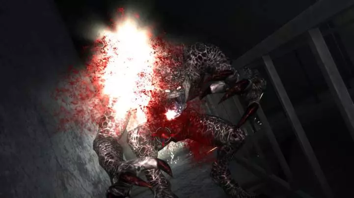 Resident Evil: DarkSide Chronicles