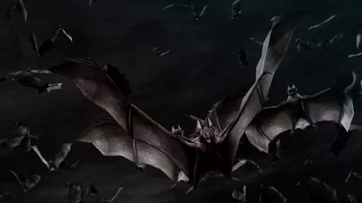 Resident Evil DarkSide Chronicles - Wii