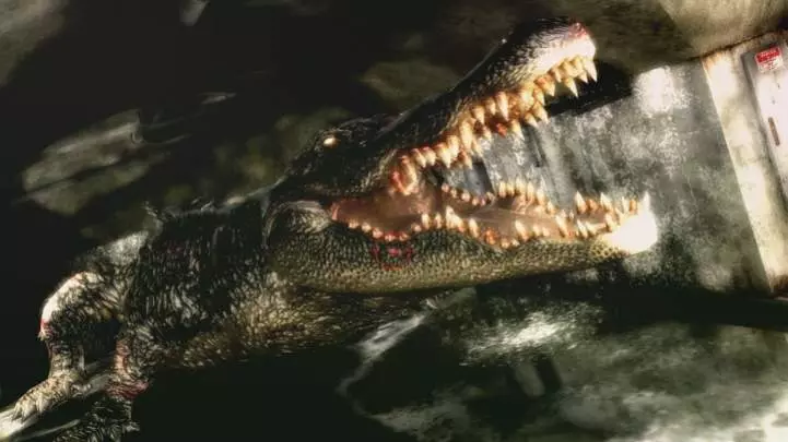 Resident Evil DarkSide Chronicles - Wii