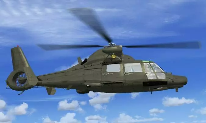 International Fighters