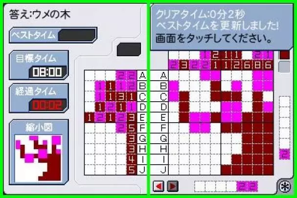 Challenge Me Brain Puzzles - DS