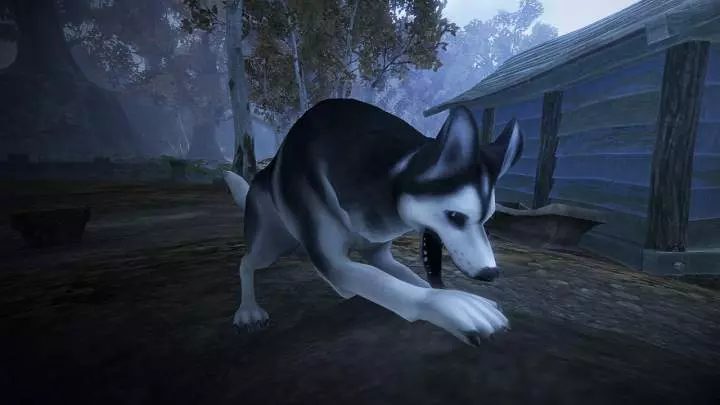 Fable 2 See the Future