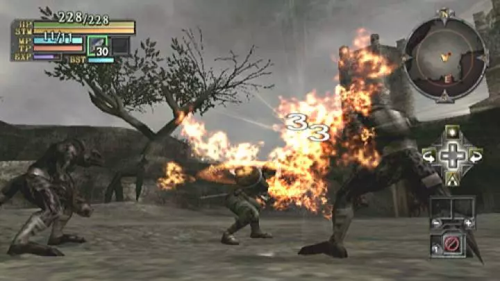 Valhalla Knights Eldar Saga - Wii