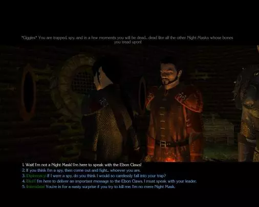 Neverwinter Nights 2 M. Westgate - PC