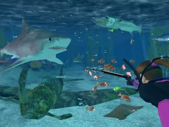 Shimano Xtreme Fishing