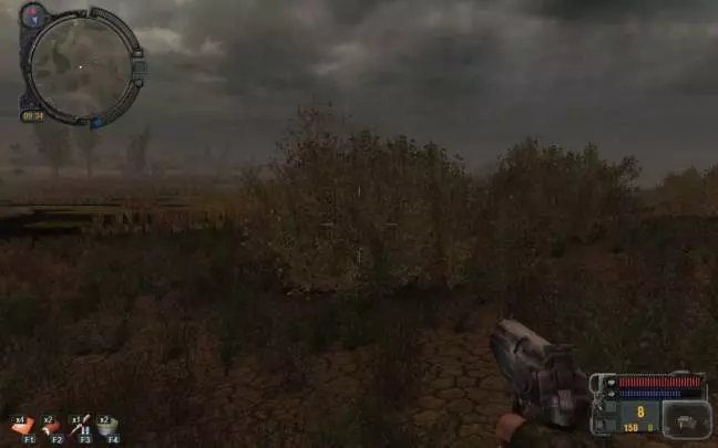 STALKER Call of Pripyat