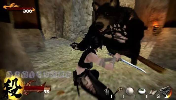 Tenchu Wrath of Heaven - PSP