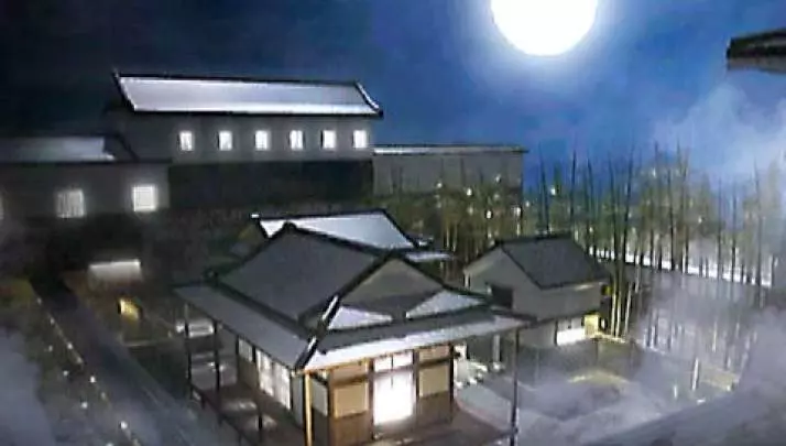 Tenchu Wrath of Heaven