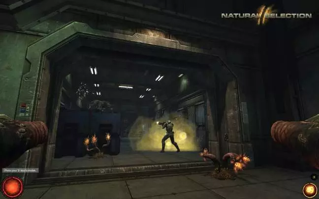 Natural Selection 2 - PC