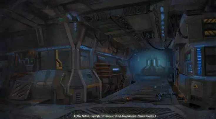 Natural Selection 2 - PC