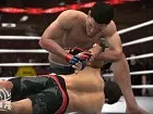 EA Sports MMA - Imagen