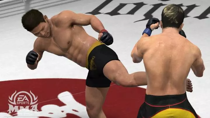 EA Sports MMA