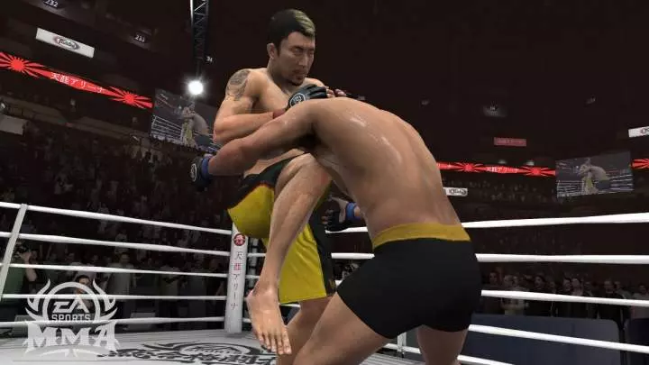 EA Sports MMA