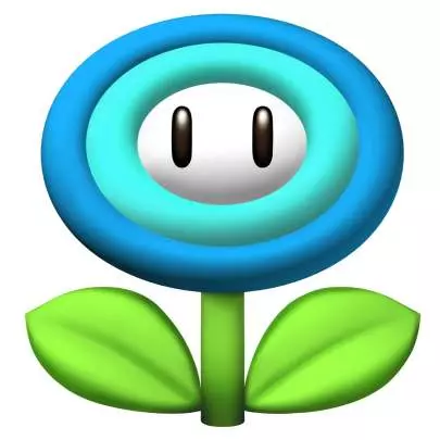 New Super Mario Bros - Wii