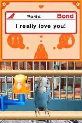 Discovery Kids Parrot Pals - DS