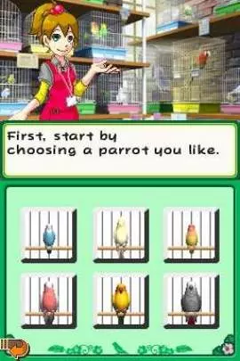 Discovery Kids Parrot Pals