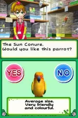 Discovery Kids Parrot Pals