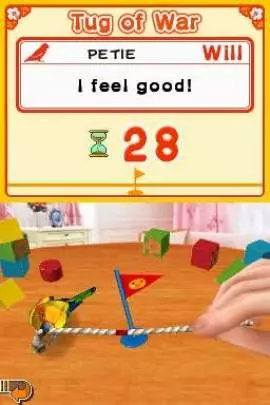 Discovery Kids: Parrot Pals