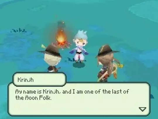 The 4 Heroes of Light - DS