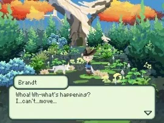 The 4 Heroes of Light