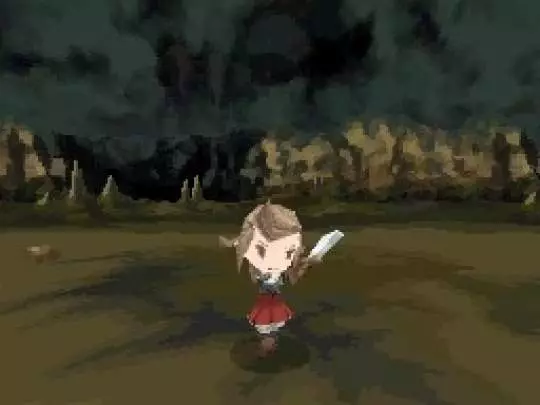 The 4 Heroes of Light - DS