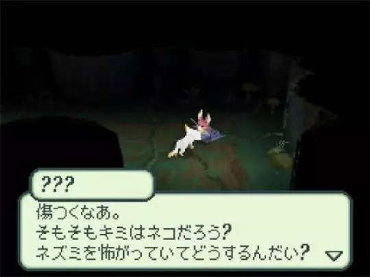 The 4 Heroes of Light - DS