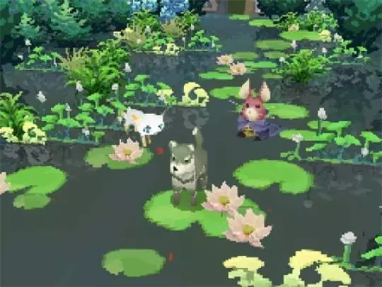 The 4 Heroes of Light - DS