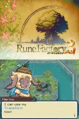 Rune Factory 3