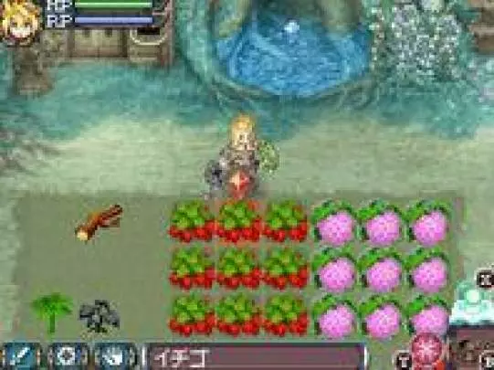 Rune Factory 3 - DS