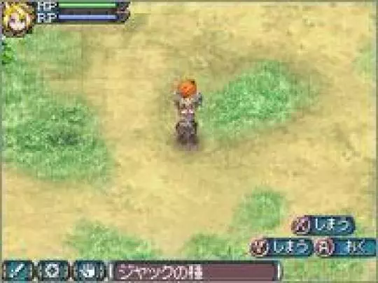 Rune Factory 3