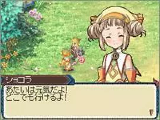 Rune Factory 3