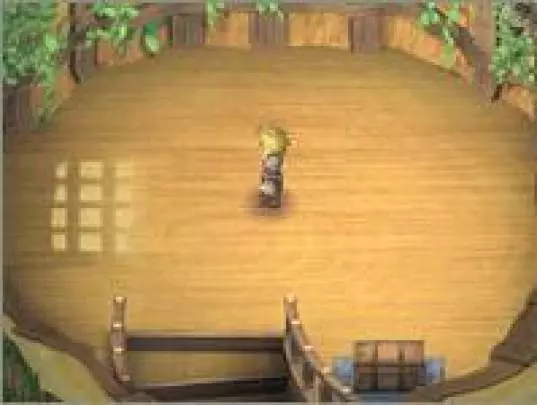 Rune Factory 3 - DS
