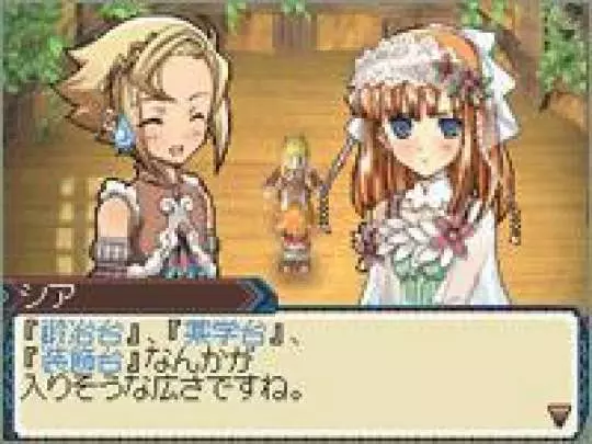 Rune Factory 3