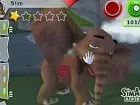 SimAnimals Africa - Imagen Wii
