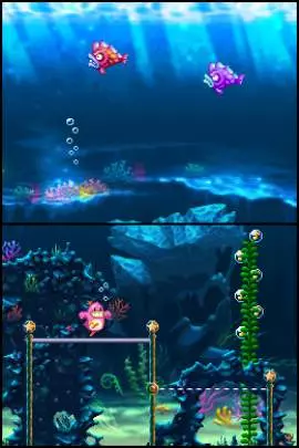 Maestro Jump in Music