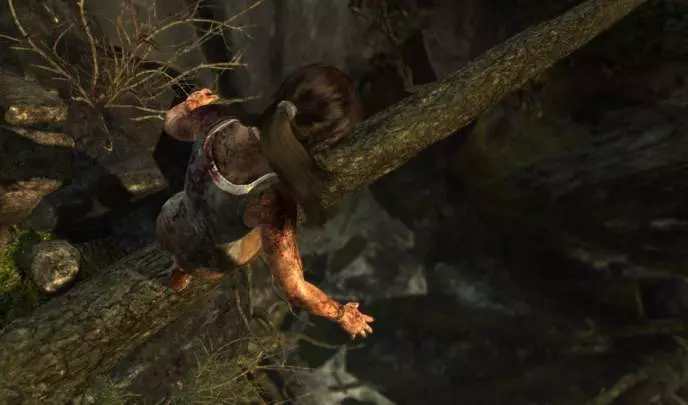 Tomb Raider (2013)