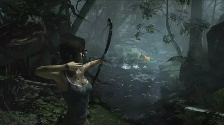 Tomb Raider (2013)